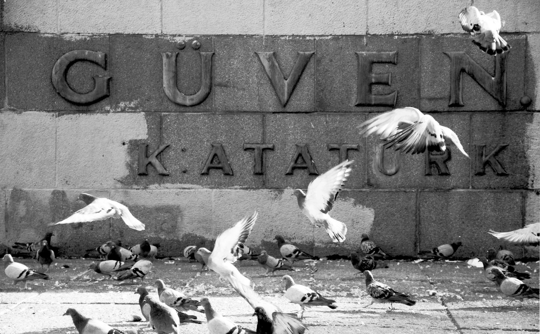 Cinsellikte Güven